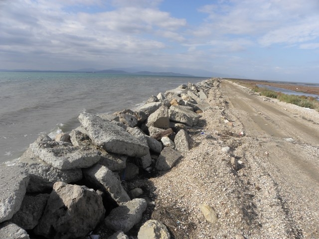 flamingolara-moloz-yagmuru