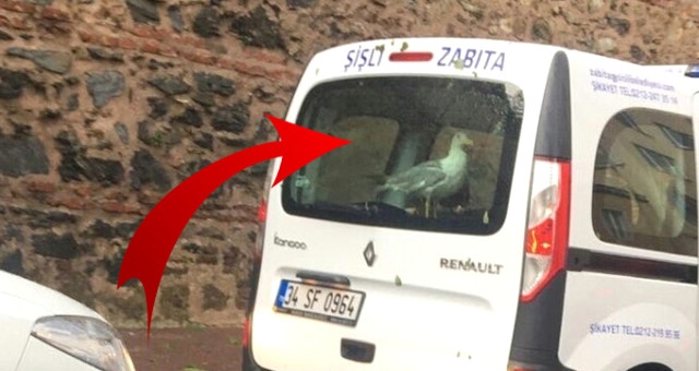 afet-sonrasi-yasananlar