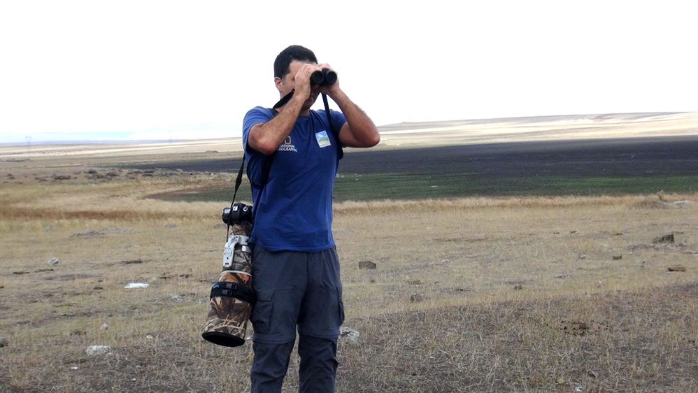 turkiye\de-en-fazla-kus-aras\ta-gozlendi