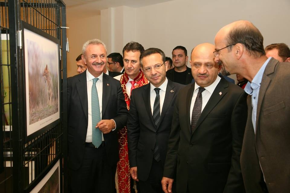 gebze\nin-yaban-hayati