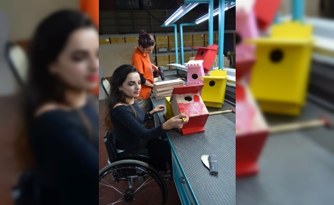 engelsiz-atolyeden-pendike-bin-adet-kus-yuvasi