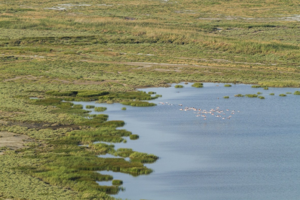 -gediz-deltasi-turkiyenin-ilk-unesco-dunya-doga-mirasi-olabilir