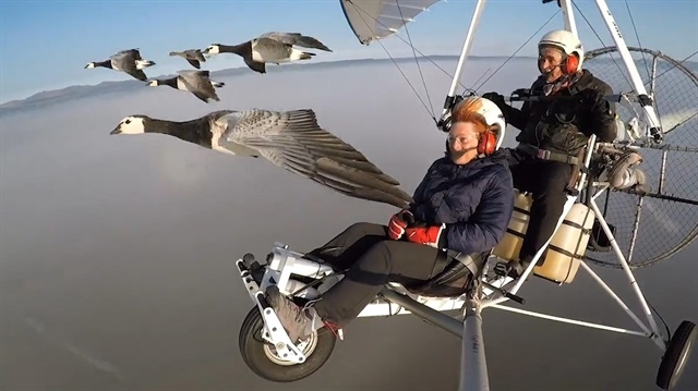 kus-surusuyle-yan-yana-ucan-adam