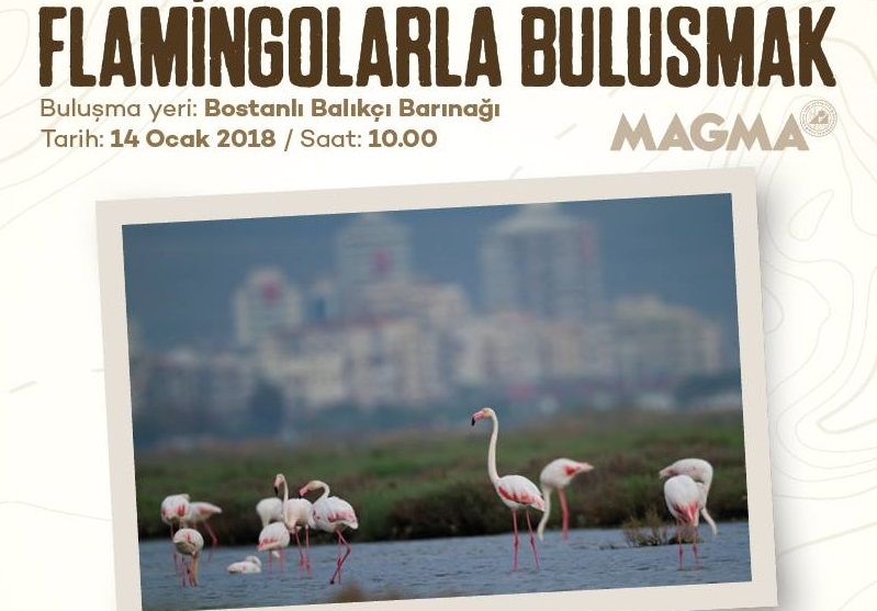 magma-okur-bulusmasi