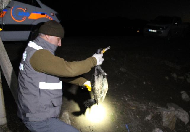 goldeki-kanalda-mahsur-kalan-45-karabatak-5-saatte-kurtarildi