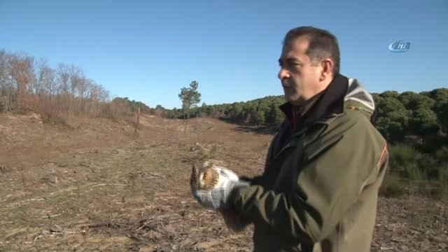 tedavi-edilen-yirtici-kuslar-dogaya-salindi