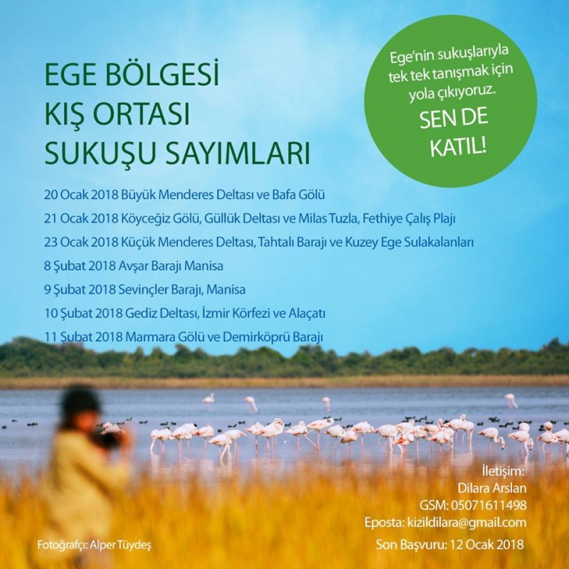 ege-bolgesi-kis-ortasi-sukusu-sayimlari-