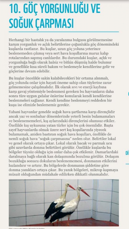 soguk-havalarda-ilk-yardim