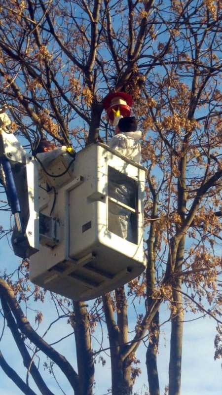 eyupsultan\da-farkli-noktalara-kus-yemlikleri-asildi