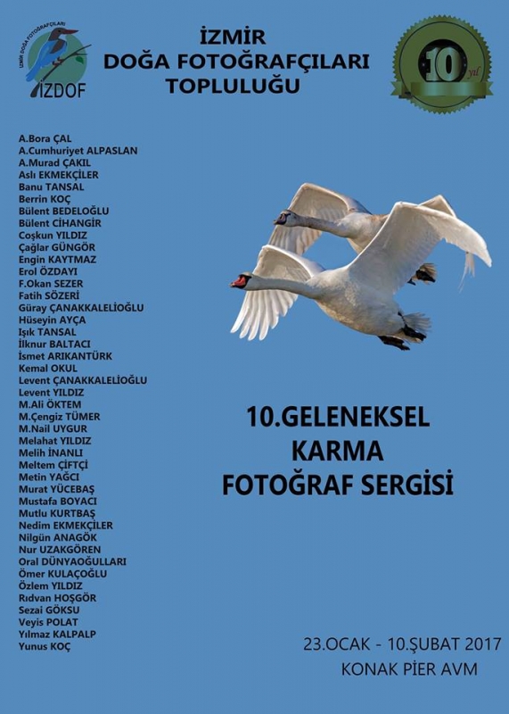 izdof-10-yil-sergisi