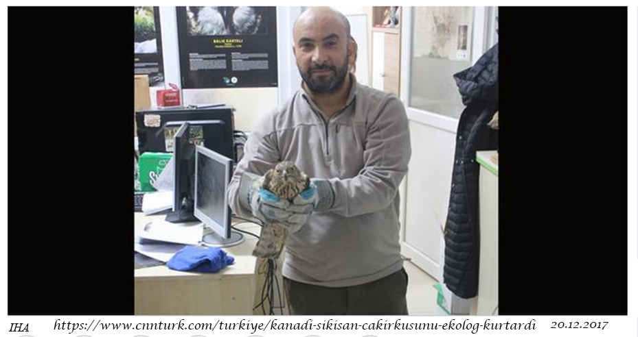 kanadi-sikisan-cakirkusunu-ekolog-kurtardi