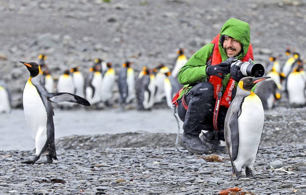 yogurtcuoglu-kus-misali
