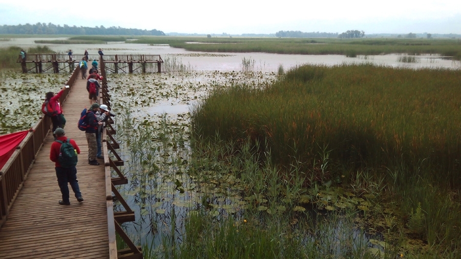 bugun-dunya-sulak-alanlar-gunu