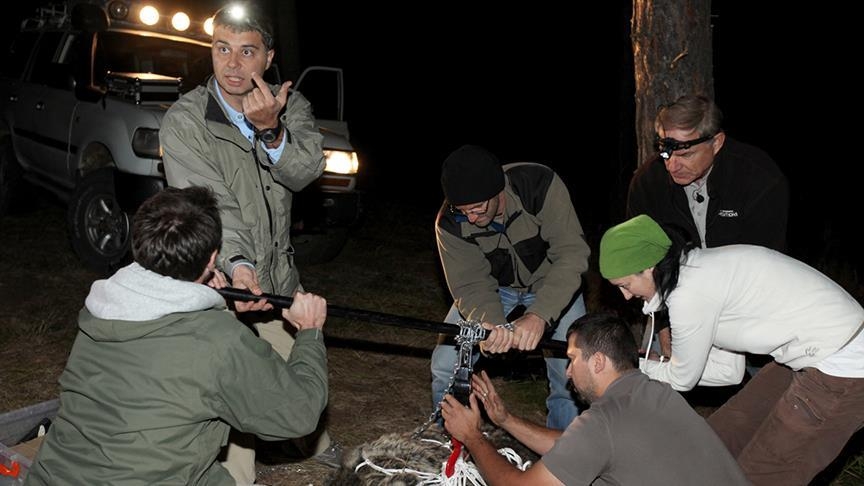 yaban-hayatini-kurtarmak-bizim-elimizde