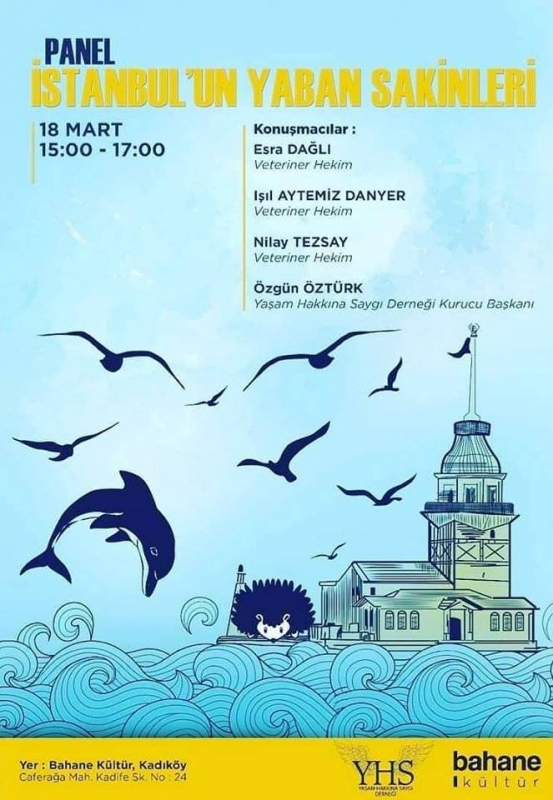 panel-`istanbul\un-yaban-sakinleri`