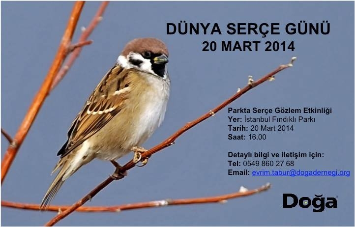 bugun-20-mart-dunya-serce-gunu!