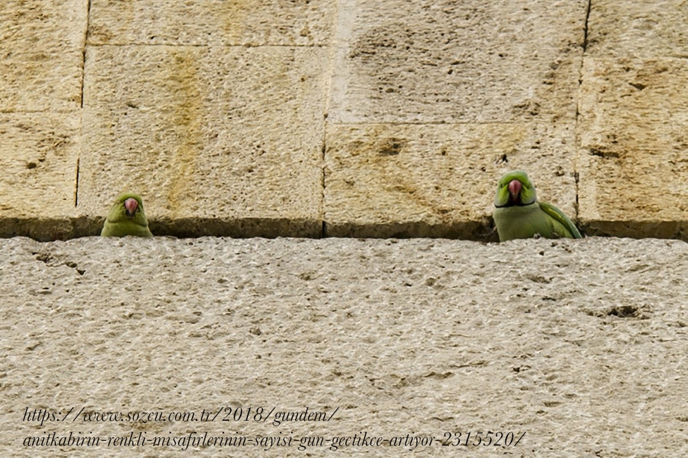 anitkabirin-egzotik-misafirleri