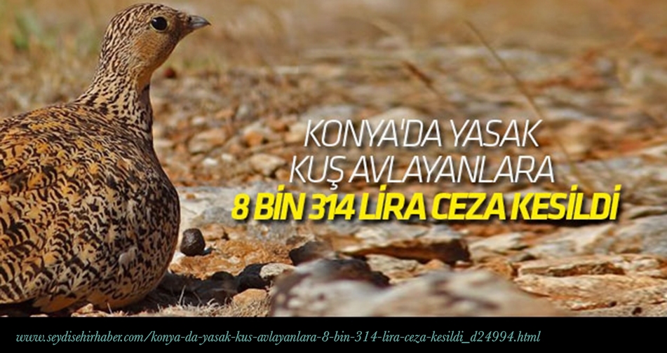 yasak-kus-bagirtlak-avlayanlara-8-bin-314-lira-ceza-kesildi