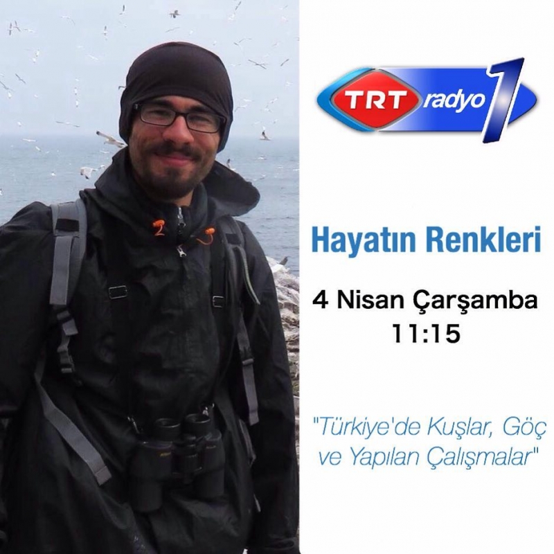 turkiyede-kuslar-goc-ve-yapilan-calismalar-