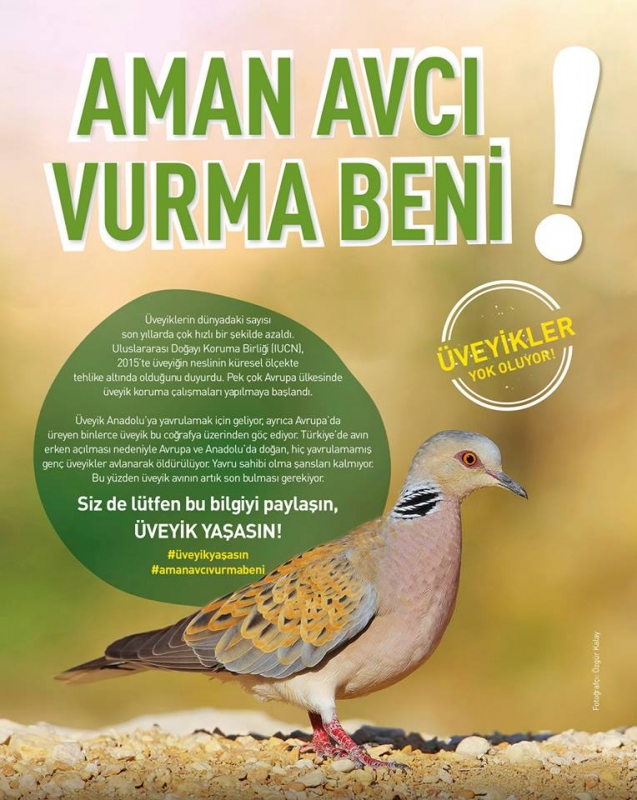 aman-avci-vurma-beni!