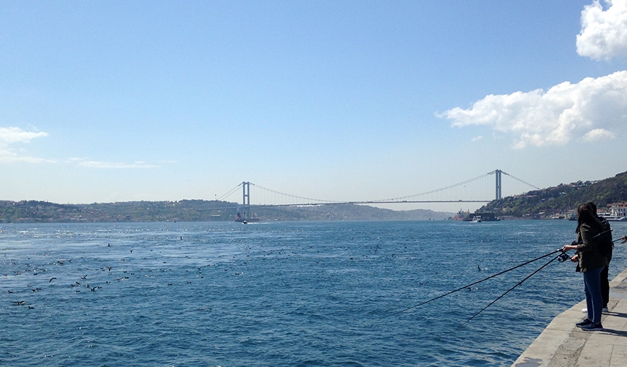 istanbul-bogazi\nda-yelkovan-bollugu-uzucu-durumda