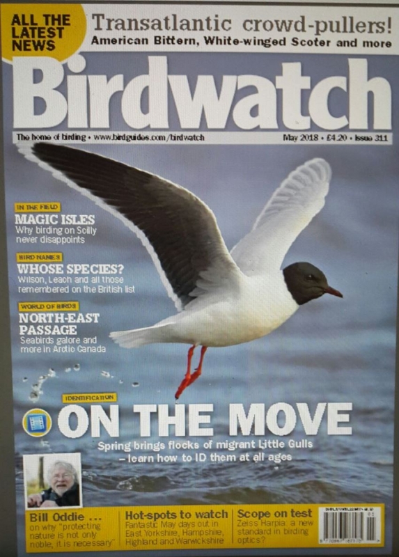 3-trakus-uyesi-3-nadir-tur-ile-birdwatch-uk-mayis-sayisinda----