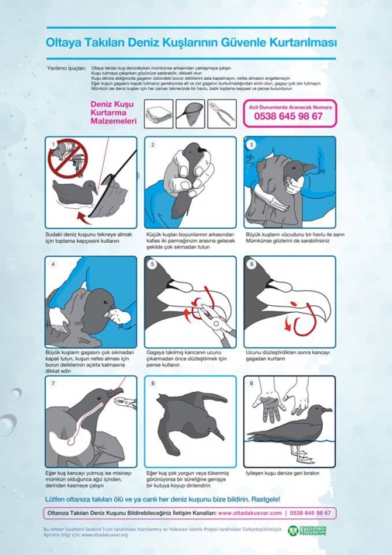 oltaya-takilan-deniz-kuslarinin-guvenle-kurtarilmasi