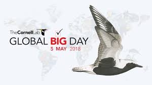 kuresel-buyuk-gun-5-mayis-2018-