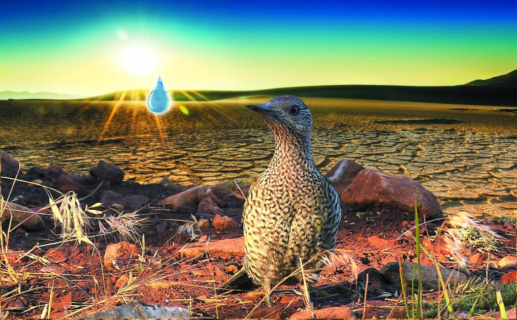 koyu-yesil---belgesel-gosterimleri-antalya-kultur-sanat\ta-devam-ediyor!