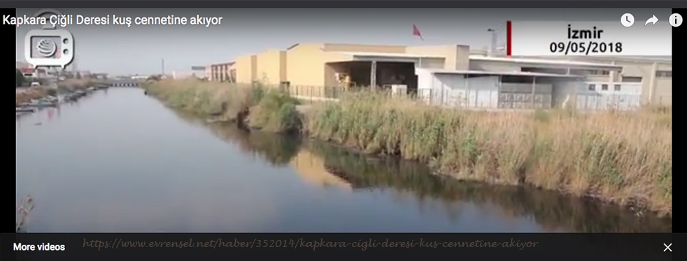 kapkara-cigli-deresi-kus-cennetine-akiyor
