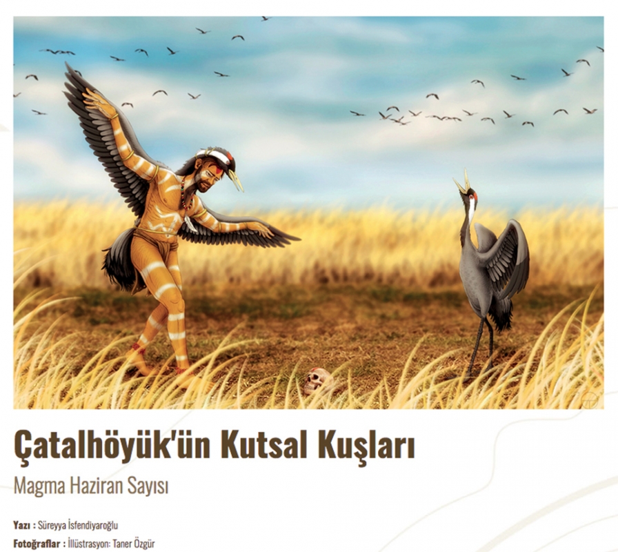 magma-dergisinde-catalhoyuk\un-kutsal-kuslari