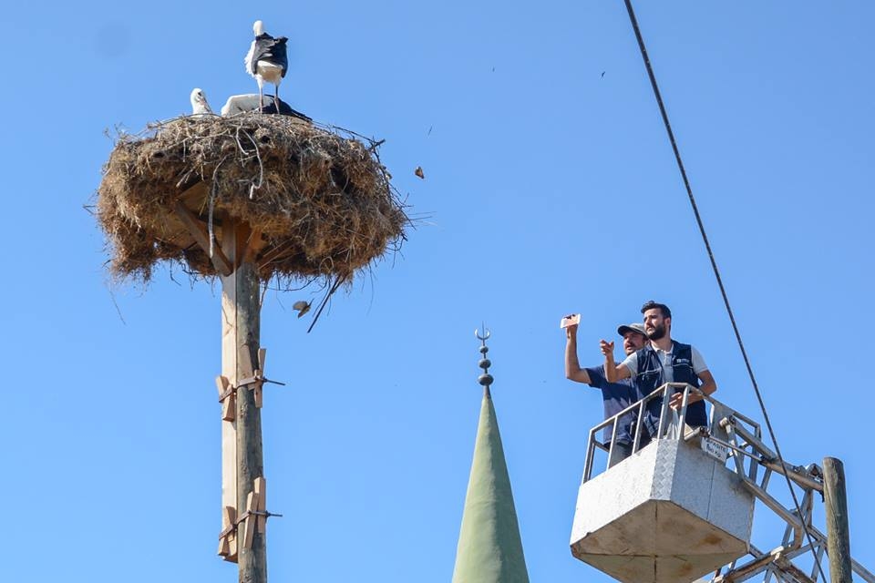 bu-dunya-icin-guzel-bir-seyler-yapmak