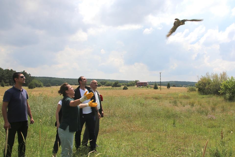 dogal-hayatlarina-kavustular