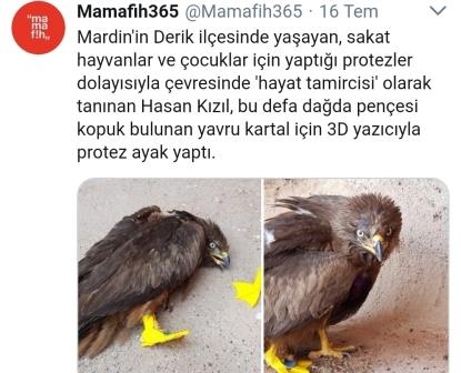 hayat-tamircisi-yavru-kartal\a-protez-ayak-yapti