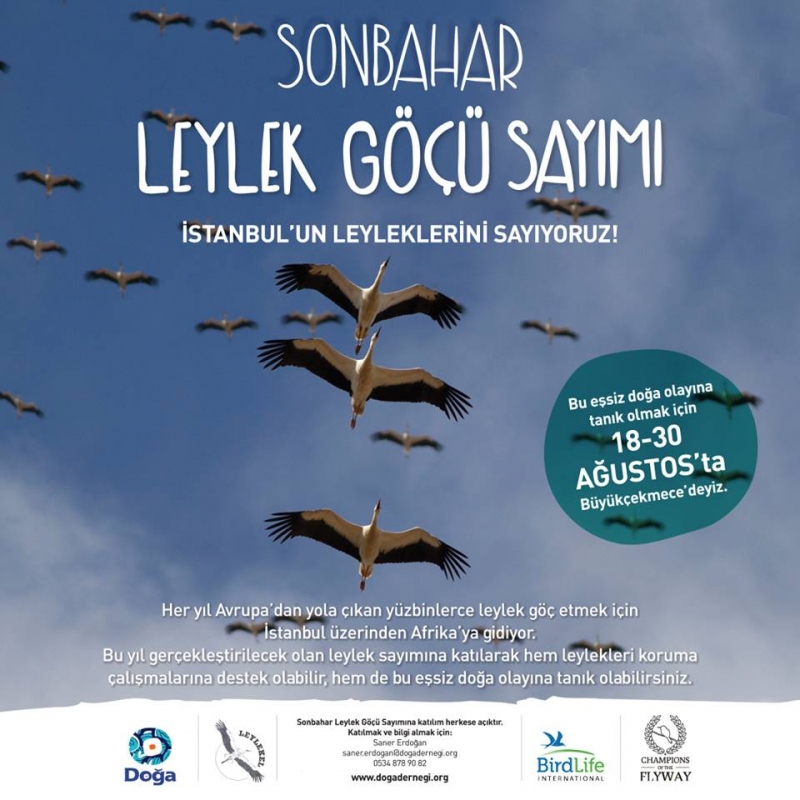 istanbulun-leyleklerini-sayiyoruz!