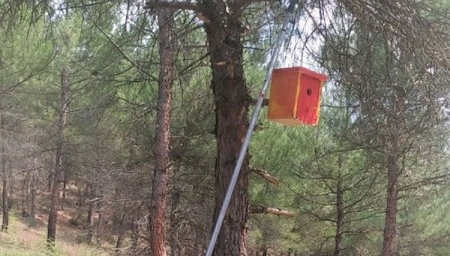 minik-ellerden-renkli-yuvalar