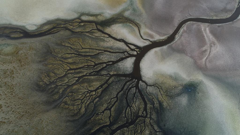 flamingo-cenneti-kuruyor