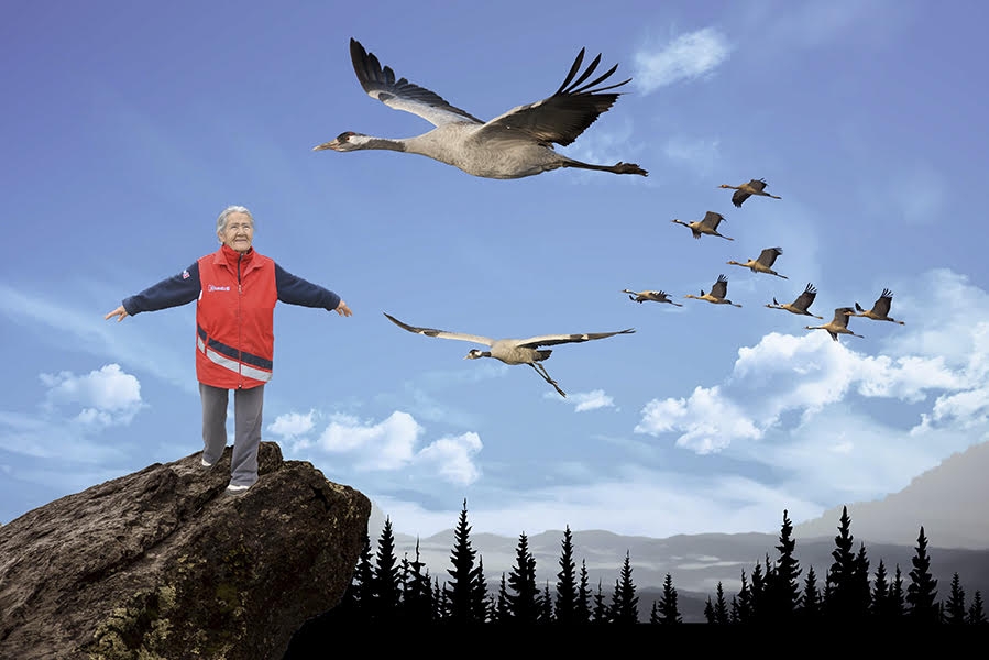 turnalarla-ucmak-istiyorum