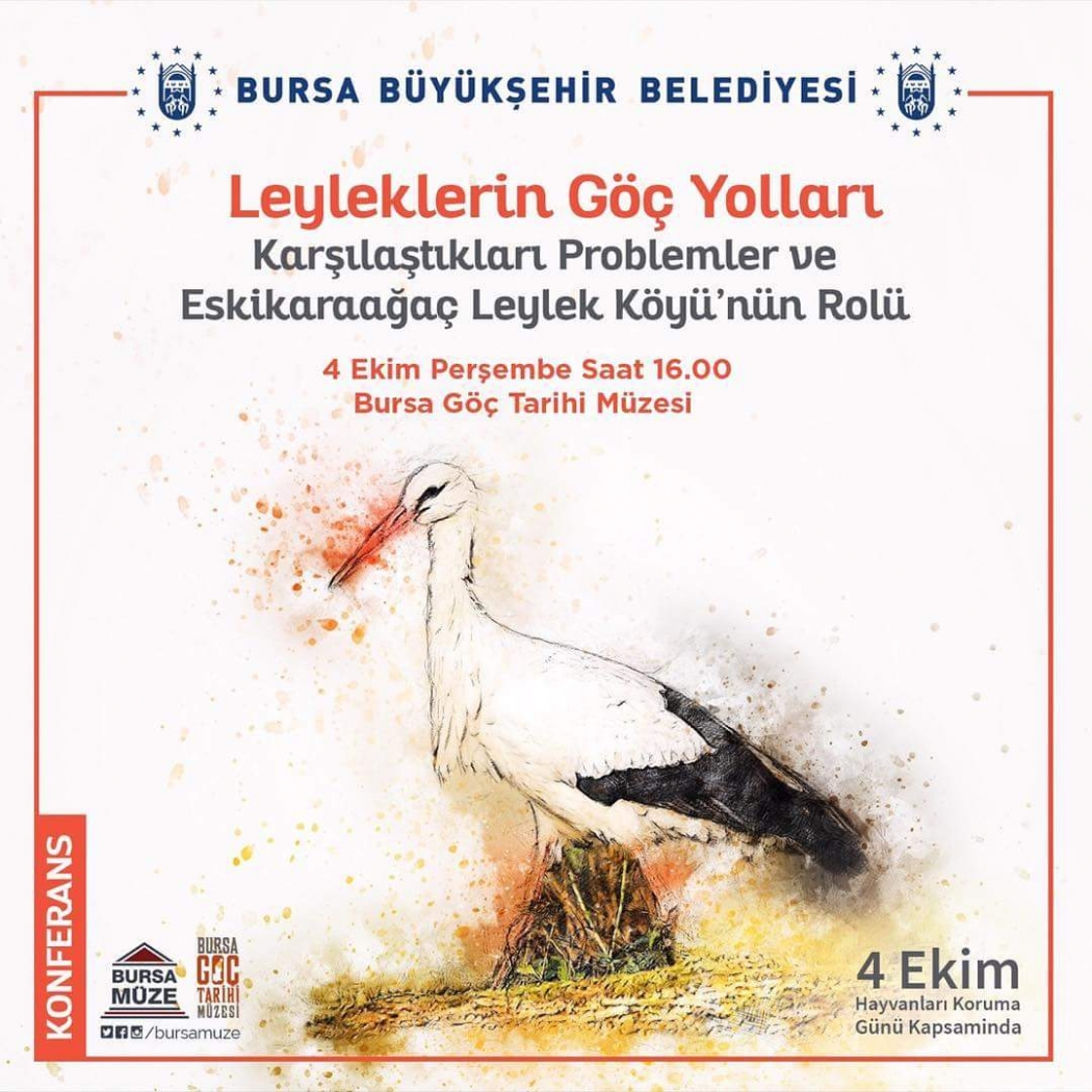 leyleklerin-goc-yollari-