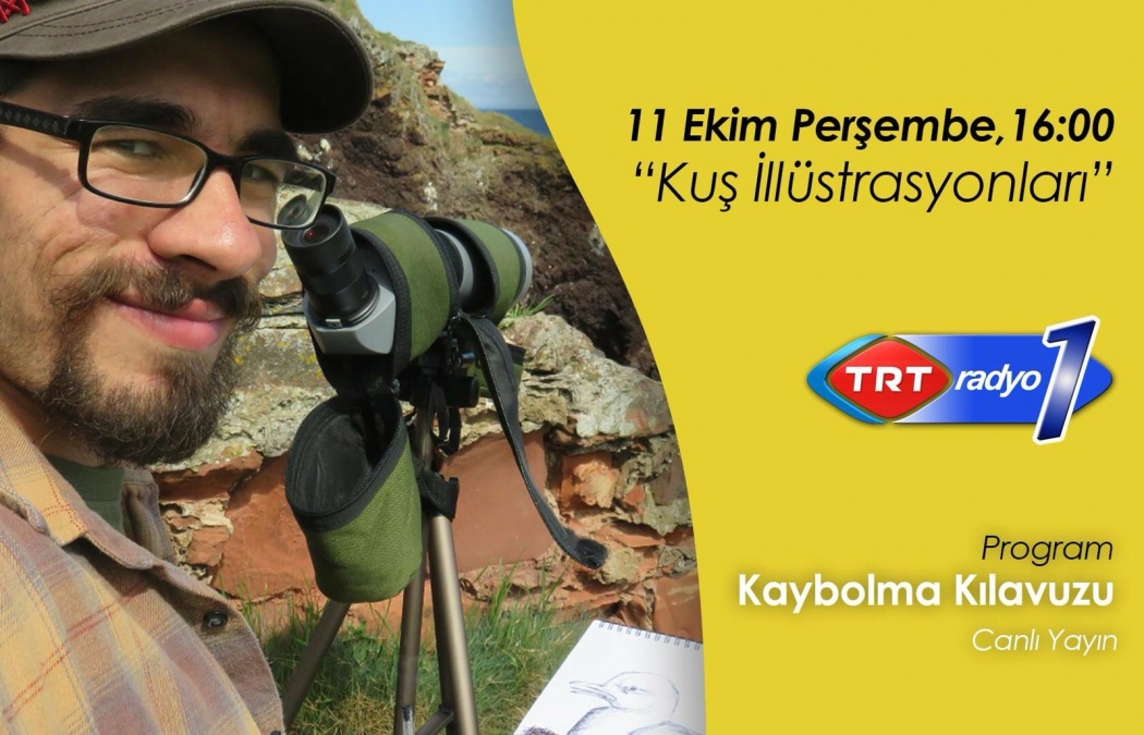 kus-illustrasyonlari