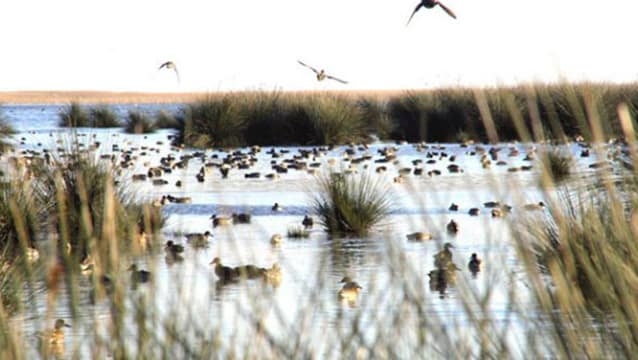 gozlemciler-icin-butik-otel-yapilacak