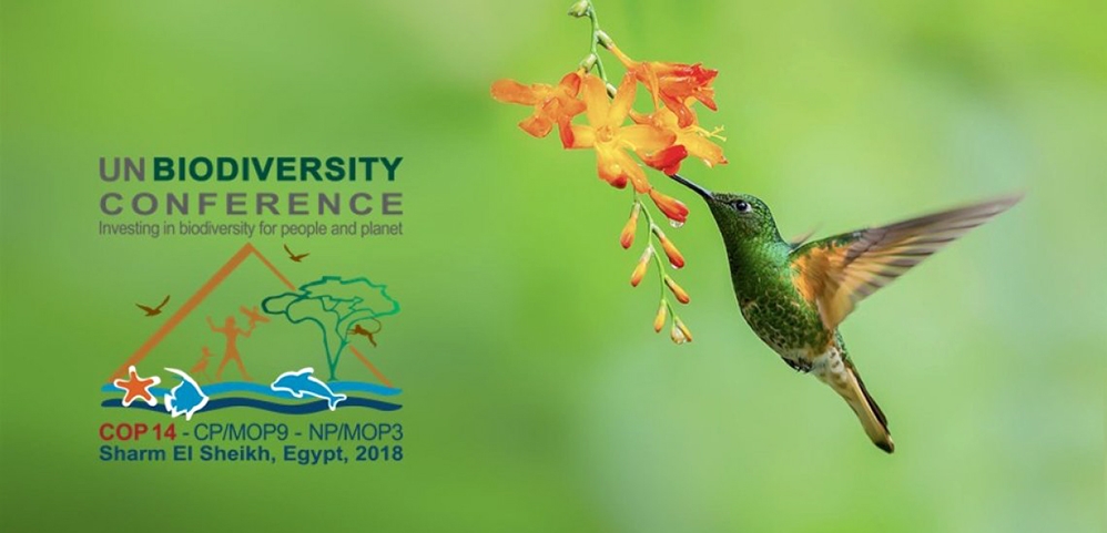 biyolojik-cesitlilik-konferansi\nin-hepimizi-etkileyecek-olmasinin-7-nedeni