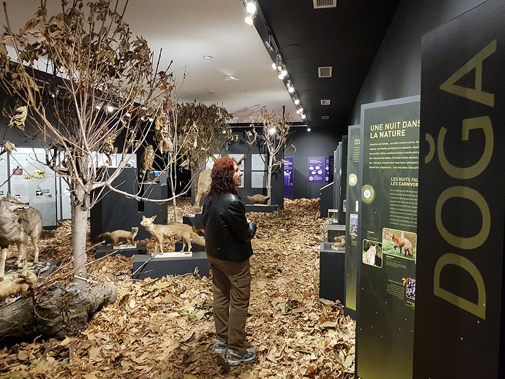 doga-bilimleri-merkezi-gece-sergisi