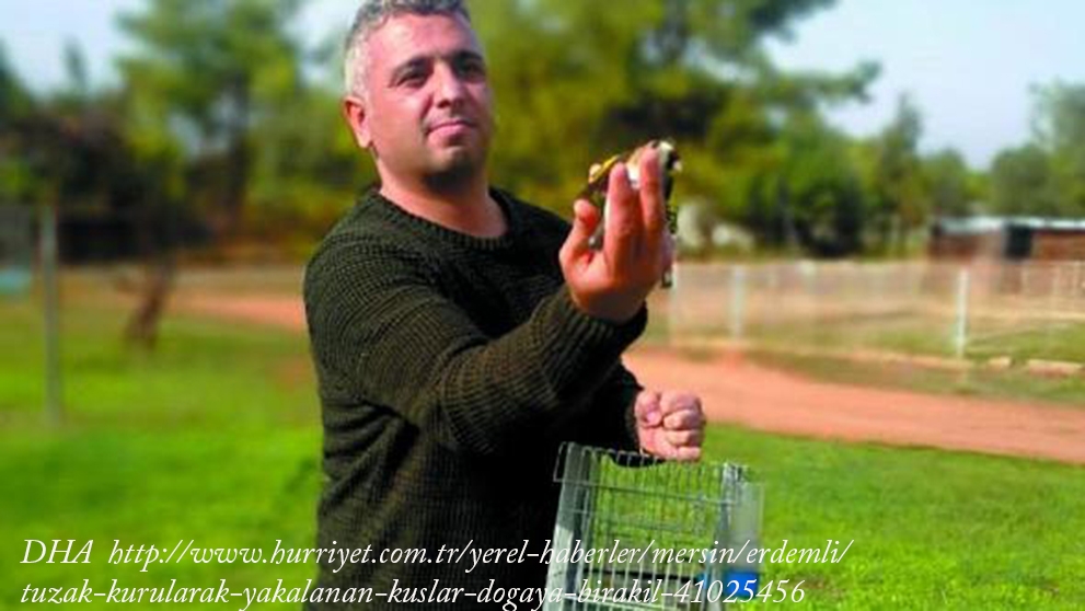 tuzak-kurularak-yakalanan-kuslar-dogaya-birakildi