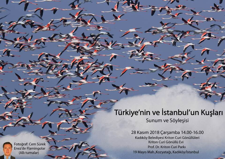 istanbul\da-kus-sunum-ve-soylesisi