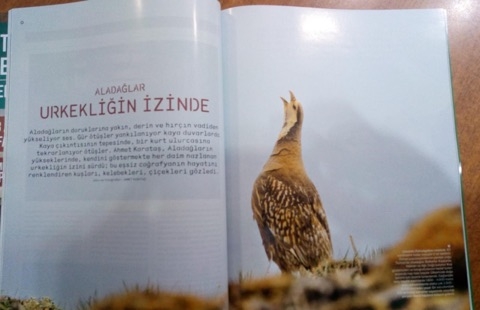 aladaglar-\`urkekligin-izinde\`