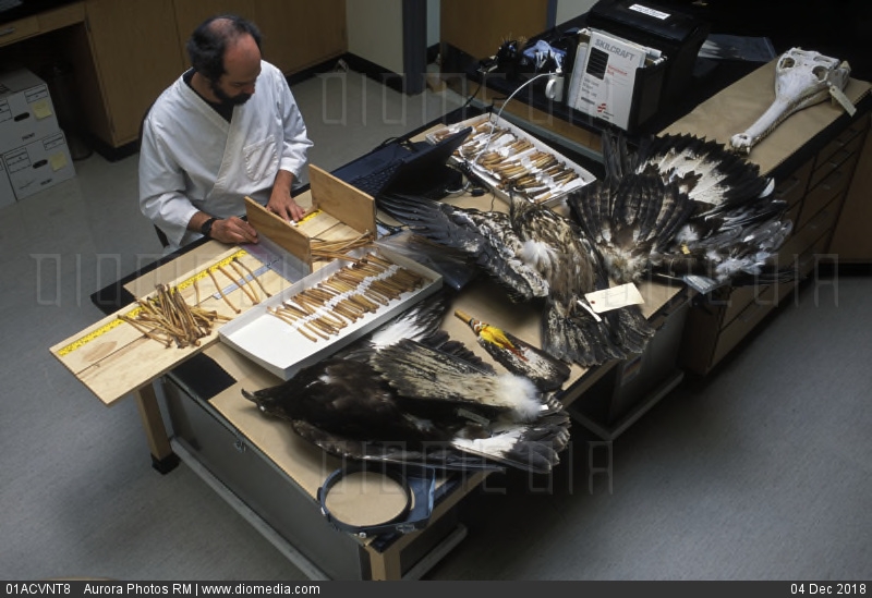 tuy-dedektifi-ile-perde-arkasi-