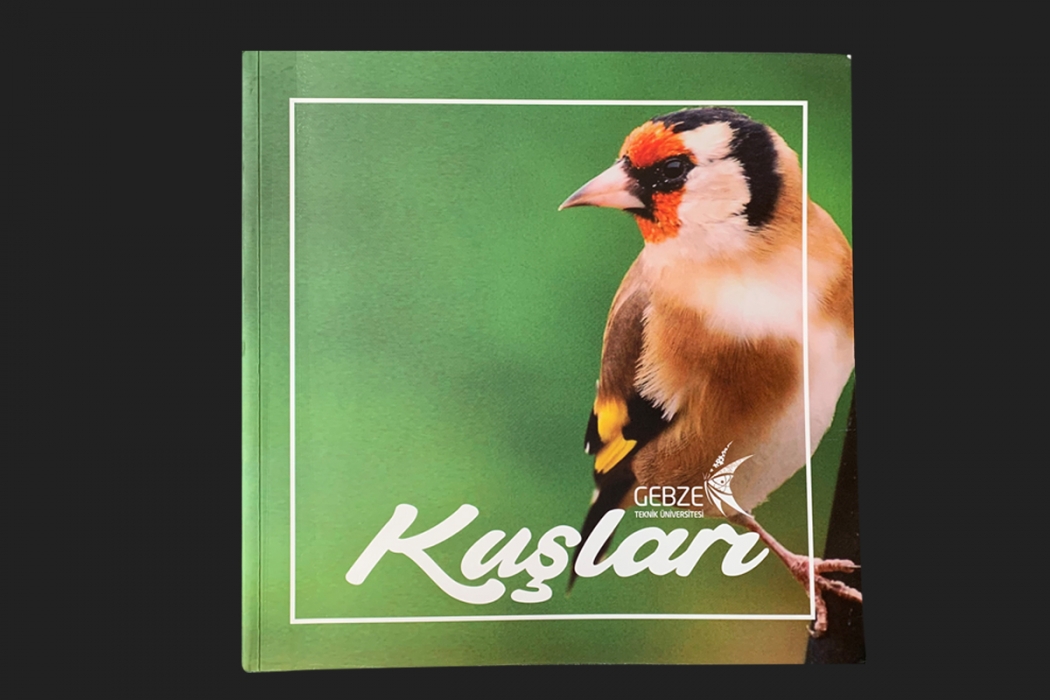 gebze-teknik-universitesi-kuslari-katalogu