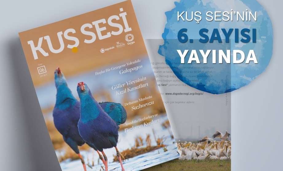 kus-sesi-6--sayisi-yayinda