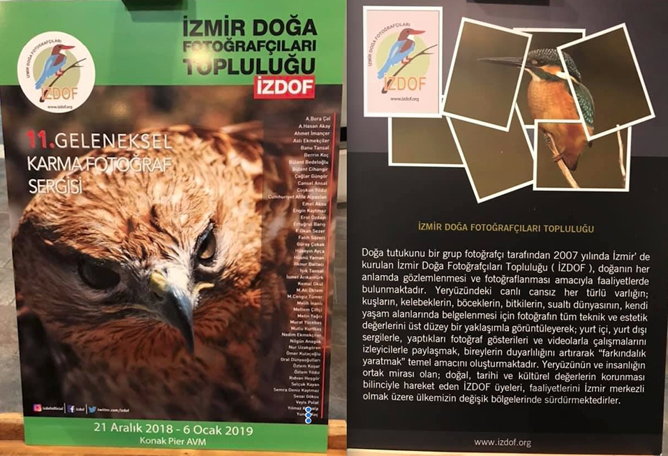 izmir-doga-fotografcilari-toplulugu-sergisi